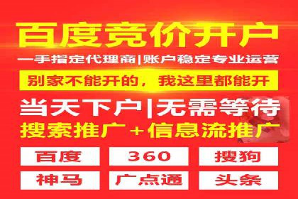 探索专业SEM托管的未来趋势与成功案例